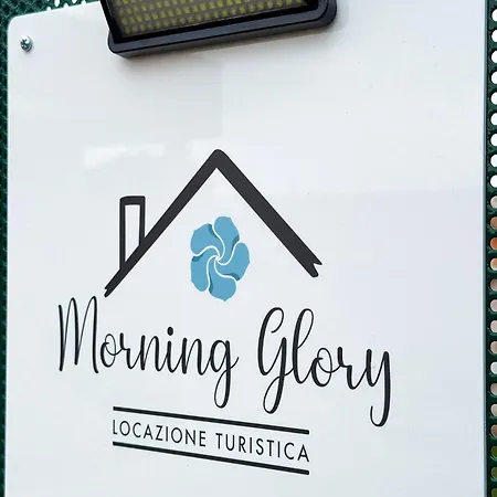 Morning Glory *